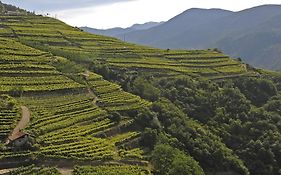 Cà Dina - Appartamento in Val di Cembra